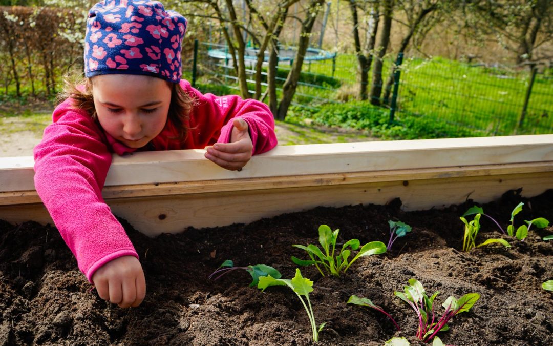 Einmal grüner Daumen bitte – Garten-Workshop für ErzieherInnen